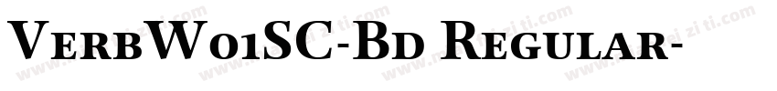VerbW01SC-Bd Regular字体转换